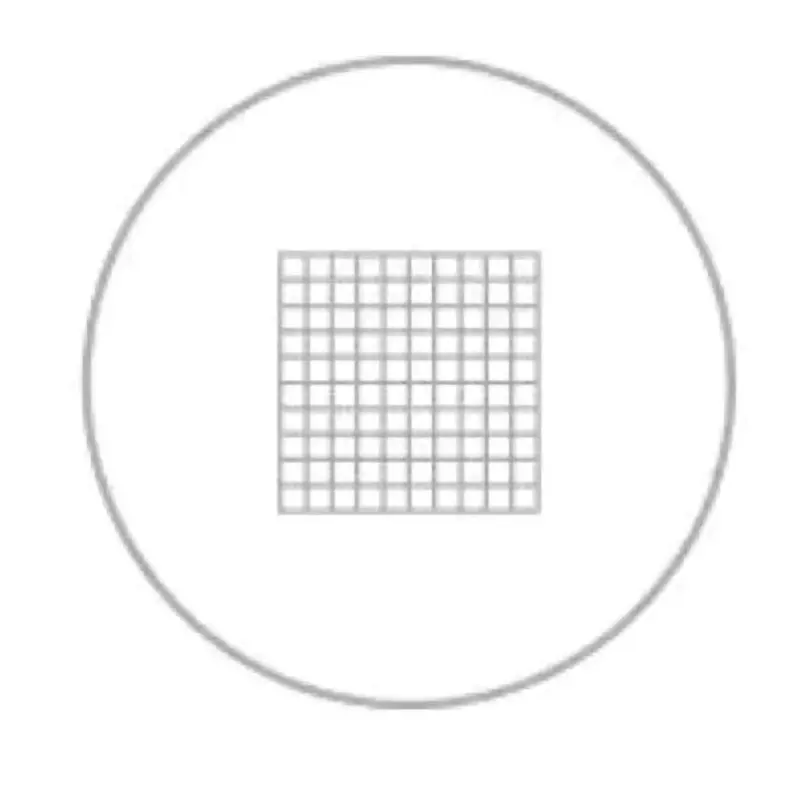 Evident Eyepiece Micrometer Φ24 Field of View Grid 10 mm Divided into 10 equal parts Scale, U-OCMSQ10/10
