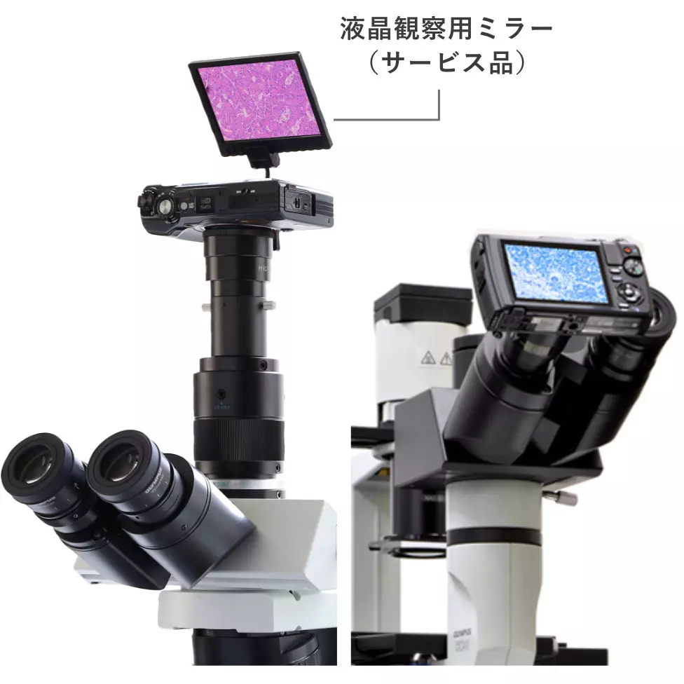 micronet-microscope-photography-system-46399617