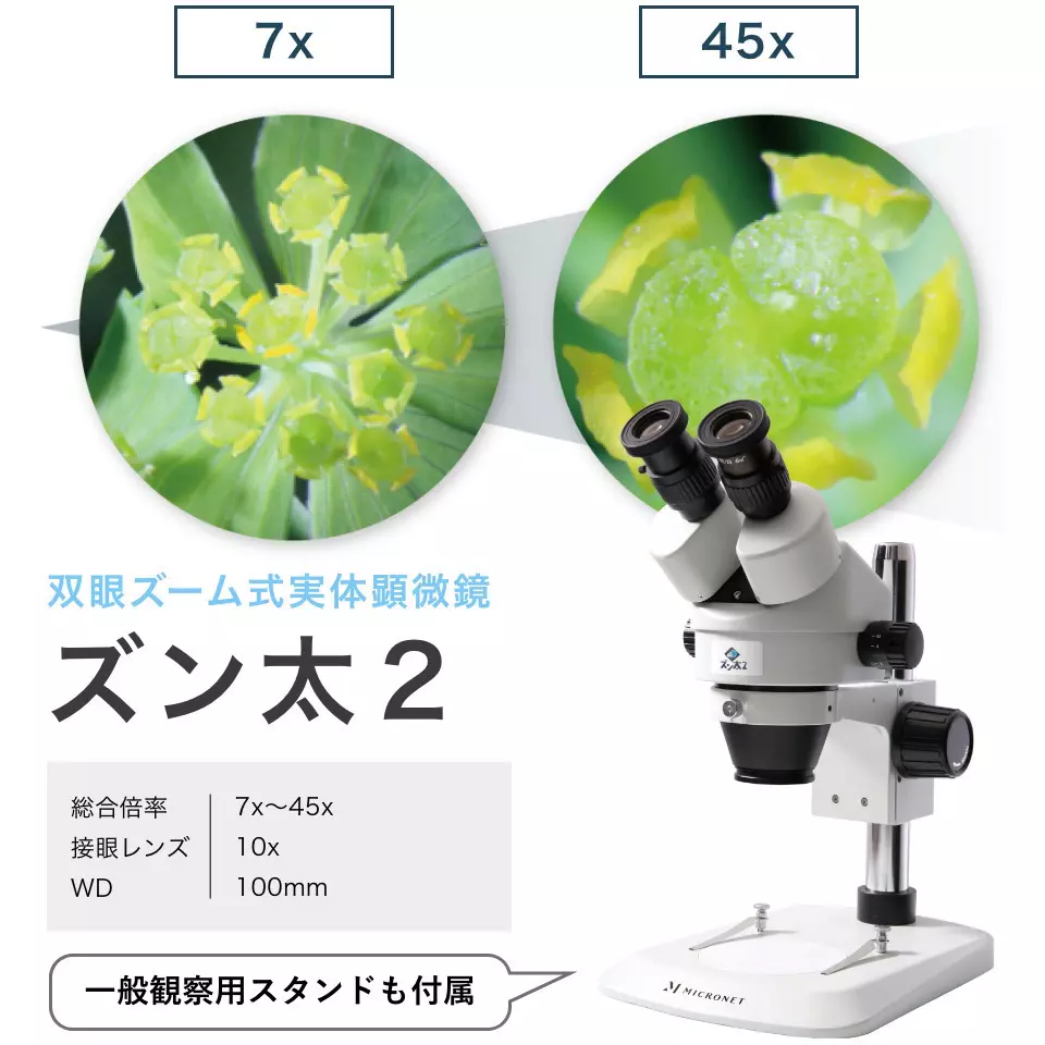 micronet-zoom-stereo-microscope-18767650