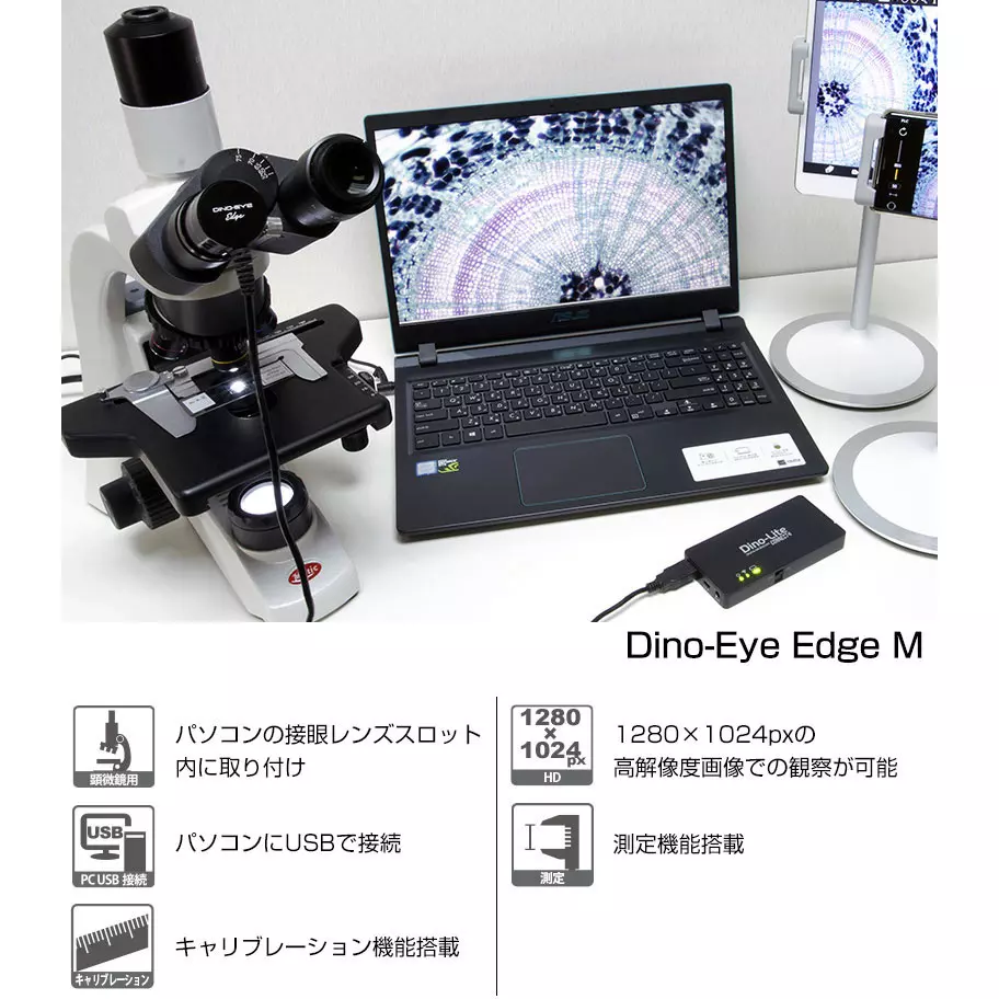 thanko-dino-eye-edge-12624205