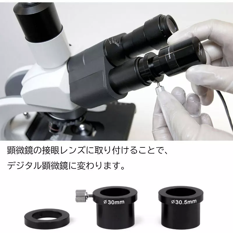 thanko-dino-eye-edge-12624205