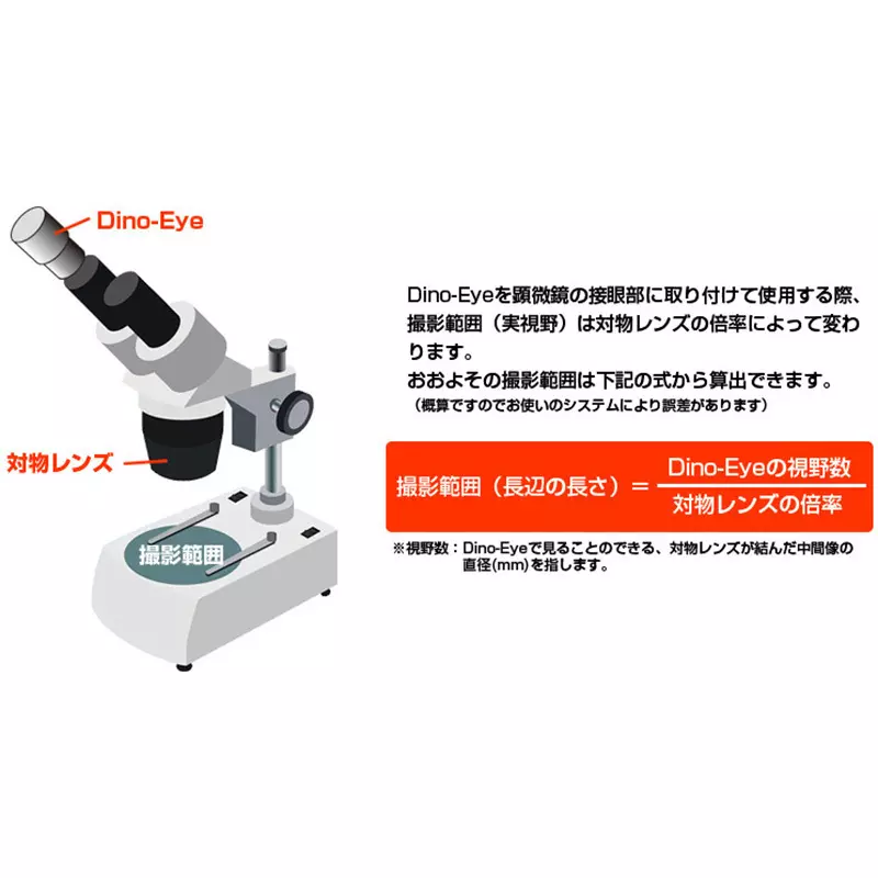 thanko-dino-eye-edge-12624205
