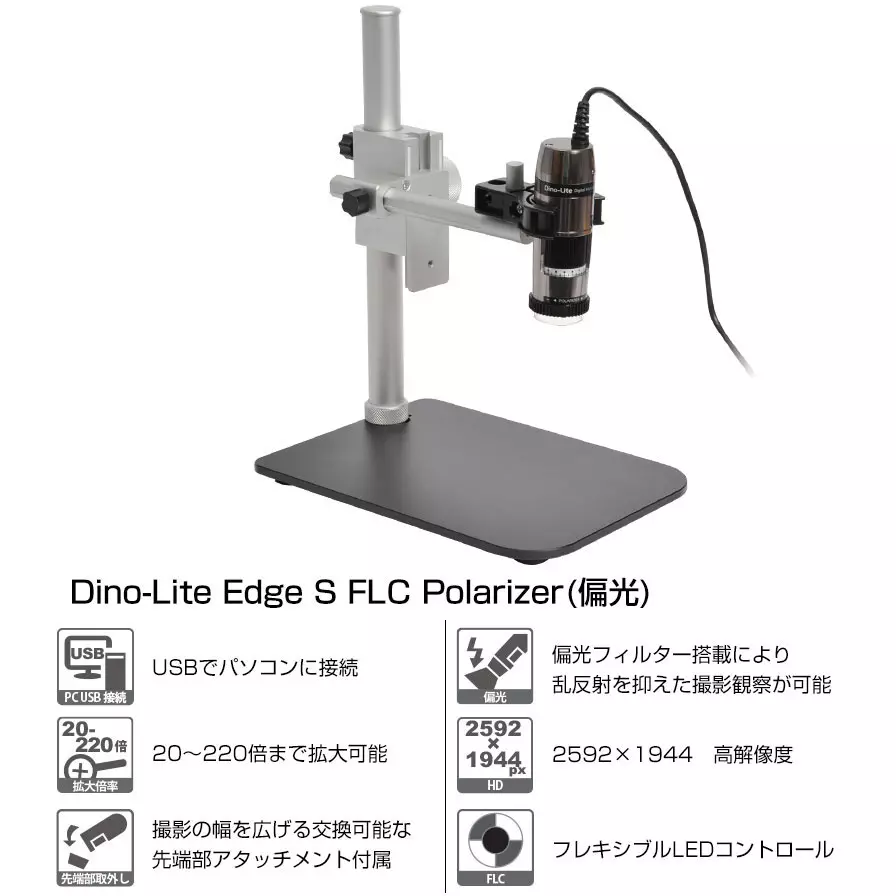 thanko-dino-lite-edge-amr-12624160