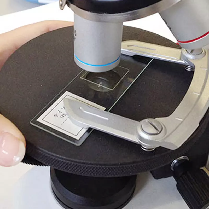 narika-biological-microscope-70046570