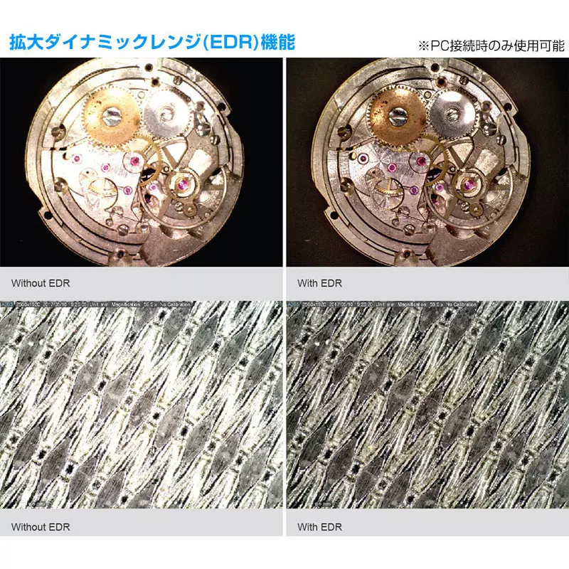 thanko-dino-lite-edge-amr-12624108