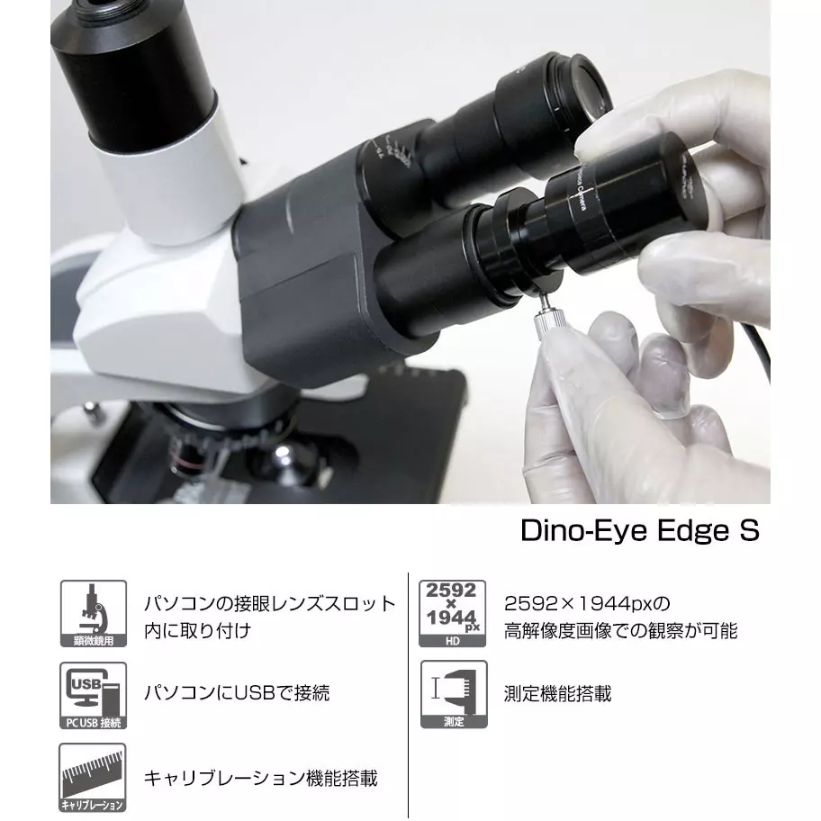 thanko-dino-eye-edge-12624047