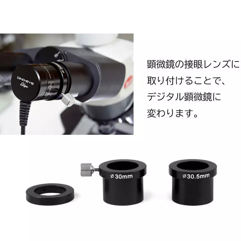 thanko-dino-eye-edge-12624047