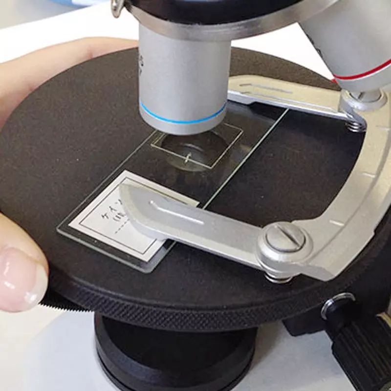 narika-biological-microscope-70046561