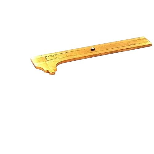 A.D INTERNATIONAL Mini Pocket Size Vernier Caliper with Brass Body 0-100 mm Range and 0.02 mm Resolution, N7-Q63L-1N4N