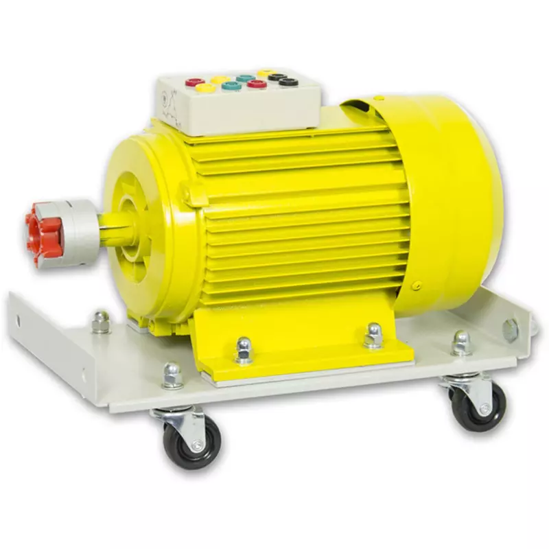 MCP Asynchronous Squirrel Cage Motor 50 Frequency 1000.0 Rated/max Power Output, TM1000-1500