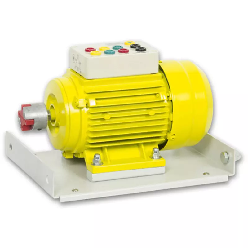 MCP Asynchronous Squirrel Cage Motor 50 Frequency 300.0 Rated/max Power Output, TM300-1500DS