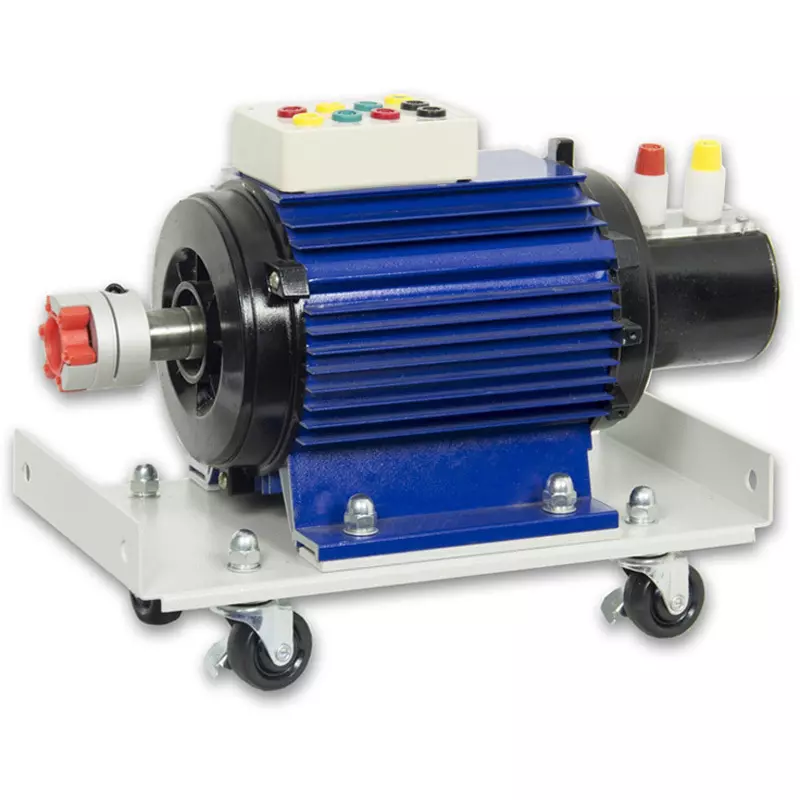MCP Synchronous Motor 5 Current 50 Frequency 700.0 Rated/max Power Output, TM1000-1500S