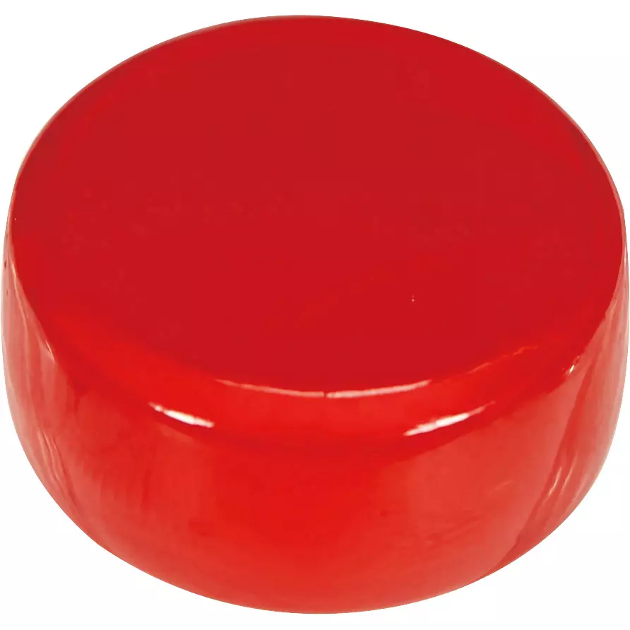 TRUSCO Ferrite Polyamide Magnet 6 N Attracting Force, TFP18-1-R