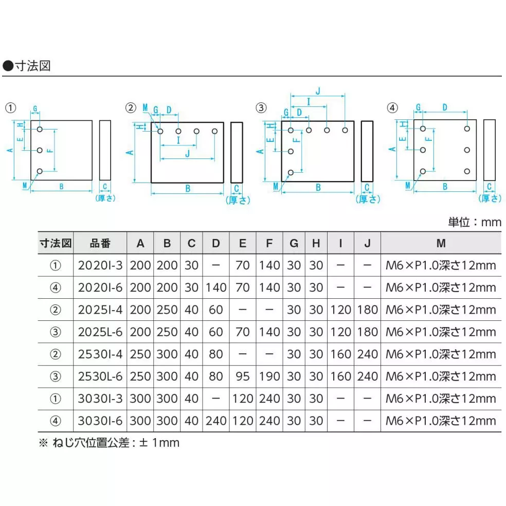 sk-niigata-seiki-jig-plate-screw-2025i-4