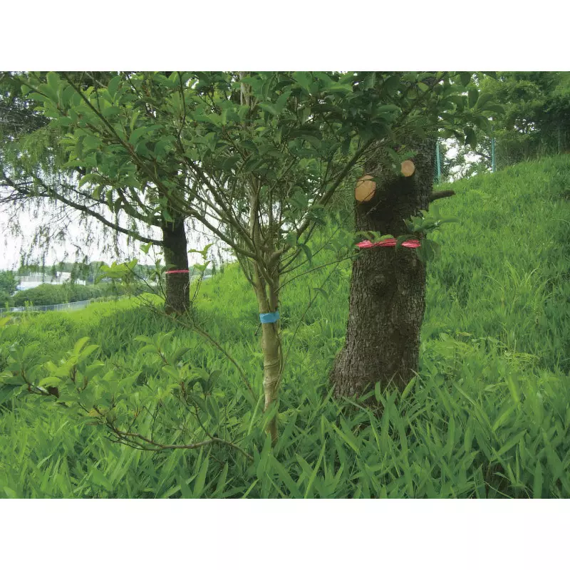 trusco-marking-tape-tmt-30yp