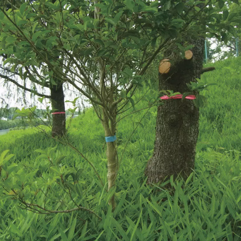 trusco-marking-tape-tmt-30yp