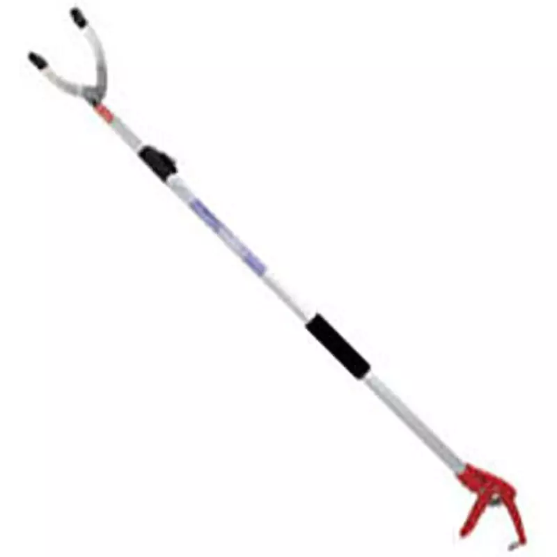 DOGYU Scissor Thai Up to 1.5 Kg Specifications, 1691