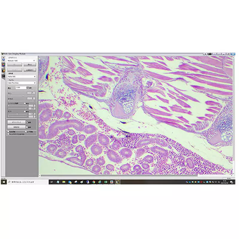 narika-microscope-digital-camera-system-70046378