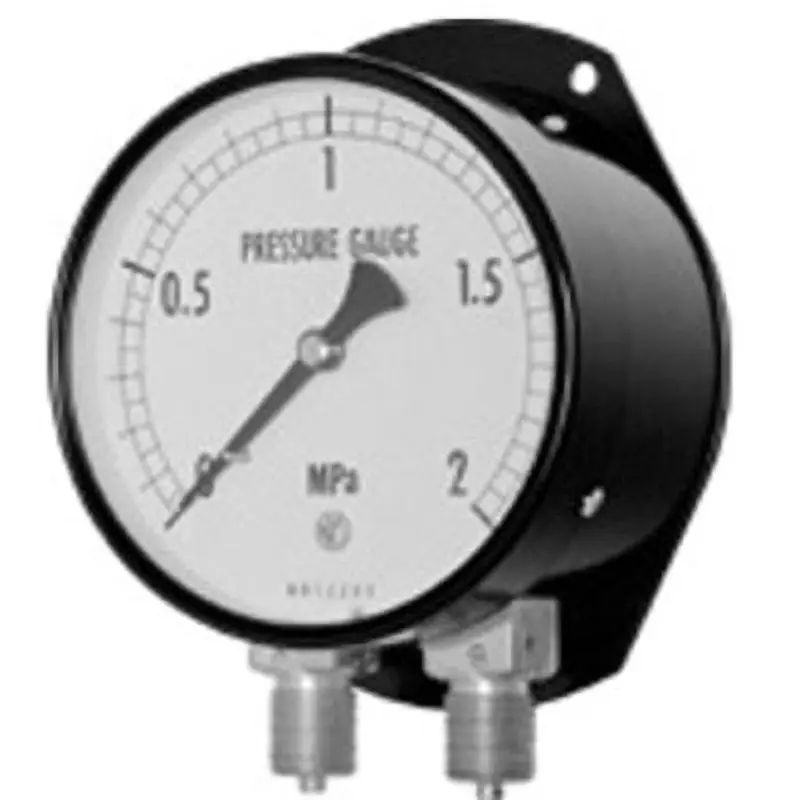 Nagano Keiki Twin Needle Pressure Gauge 0 to 2 MPa Range, GD10-231 0- 2 MPa