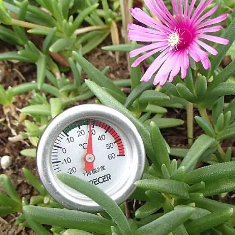 crecer-analog-thermometer-64857337