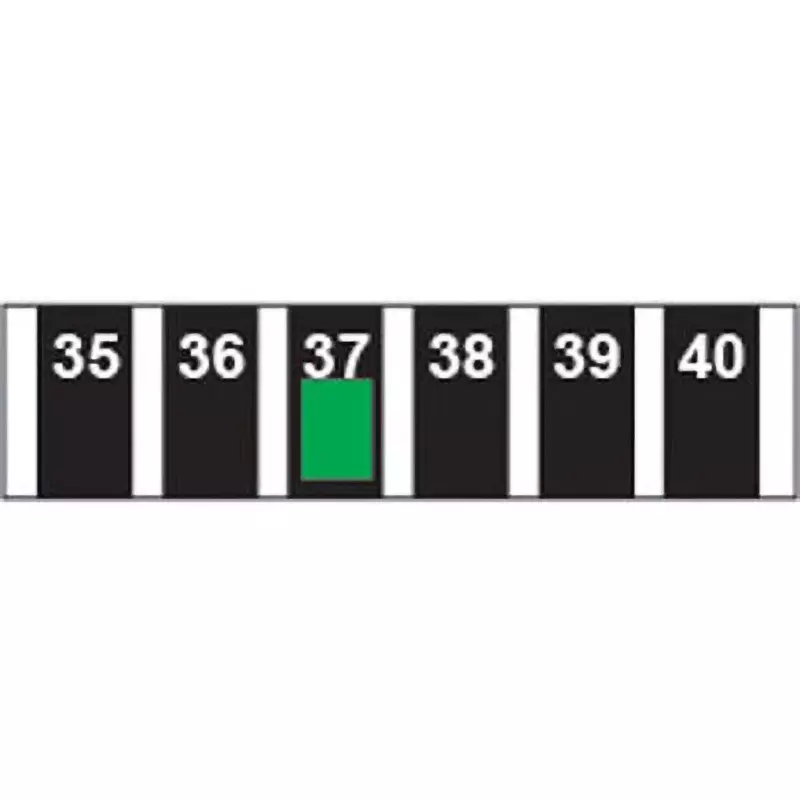 Micron Temperature Indicator Label ±1 ℃ Accuracy, FH06-10 (Pack of 10)