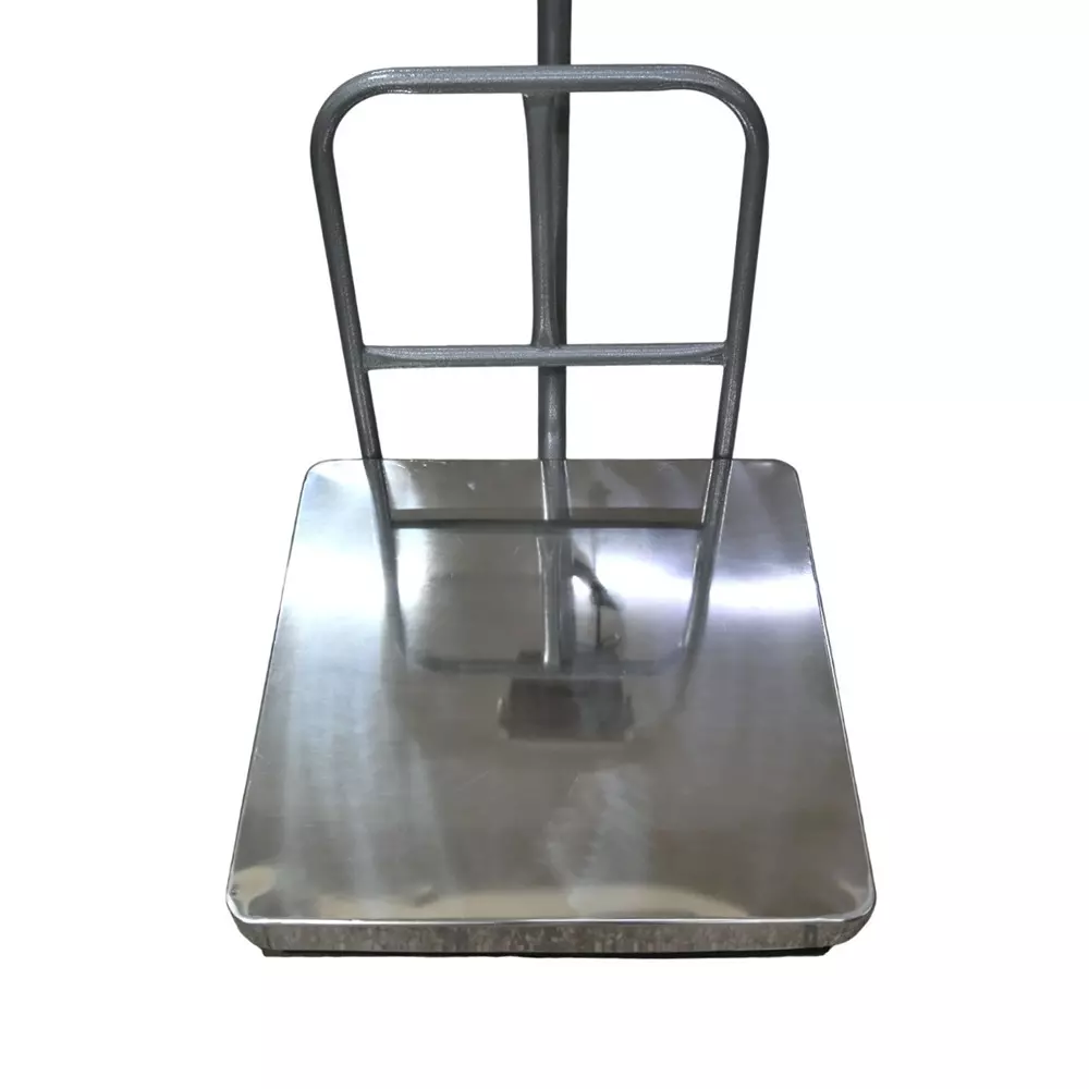 cas-dz-100-kg-16x16-inch-platform-scale