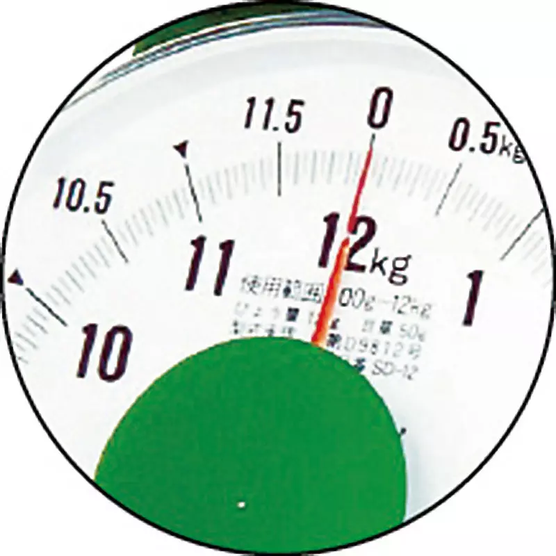 yamato-dish-scale--accuracy-1-kg-maximum-capacity--scale-type-sm-1-1kg