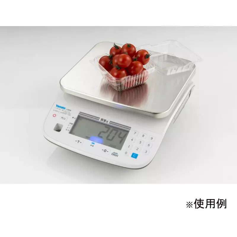 yamato-digital-top-plate-scale-single-batteryx2-dedicated-ac-adapter-optional-power-supply--accuracy-j-100w-3-1