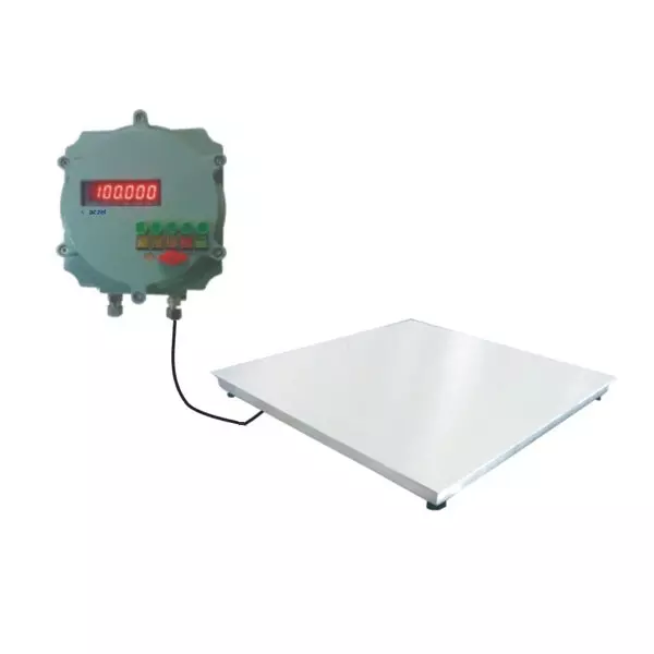 Aczet CTG-2 T4LF 2000 Kg (2 Ton) Weighing Capacity Stainless Steel Flameproof Floor Scale
