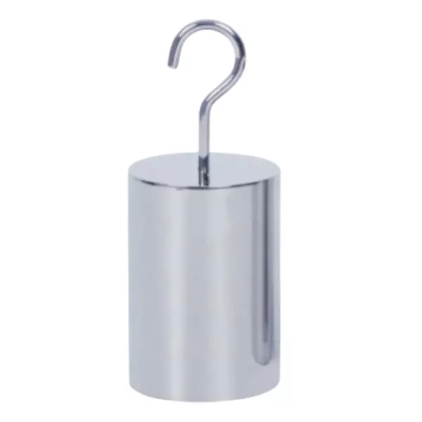 Insize M1 Class Stainless Steel Single Hook Weight 0.1 g Resolution