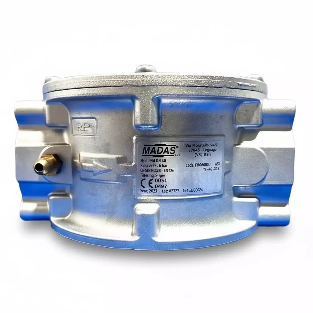 Madas Gas Filter Cylinder Stand Stainless Steel Silver 6 Bar Pressure Bar for Industrial Use, FM DN 40