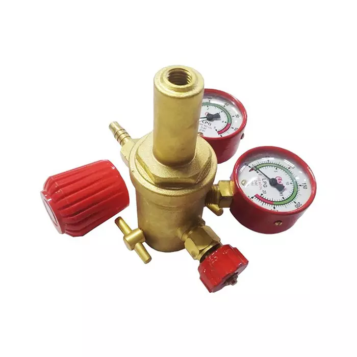 Asha Pin Type Cooking Gas Double Meter Regulator
