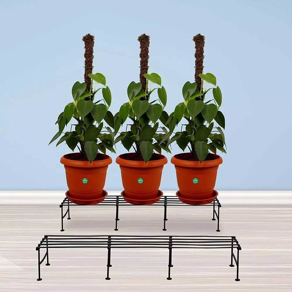 shiv-alaska-sleek-and-contemporary-plant-container-set-metal-rectangle-shape-for-outdoor-pack-of-4