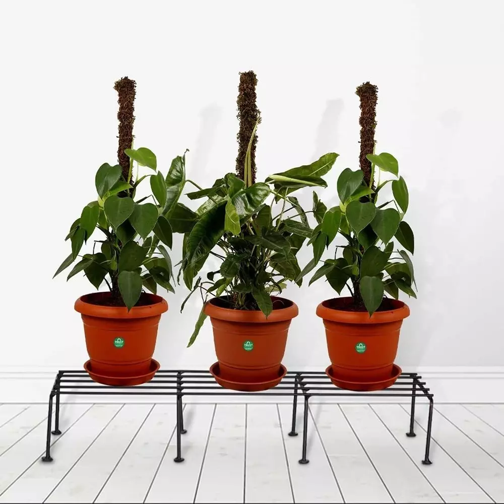 shiv-alaska-sleek-and-contemporary-plant-container-set-metal-rectangle-shape-for-outdoor-pack-of-4